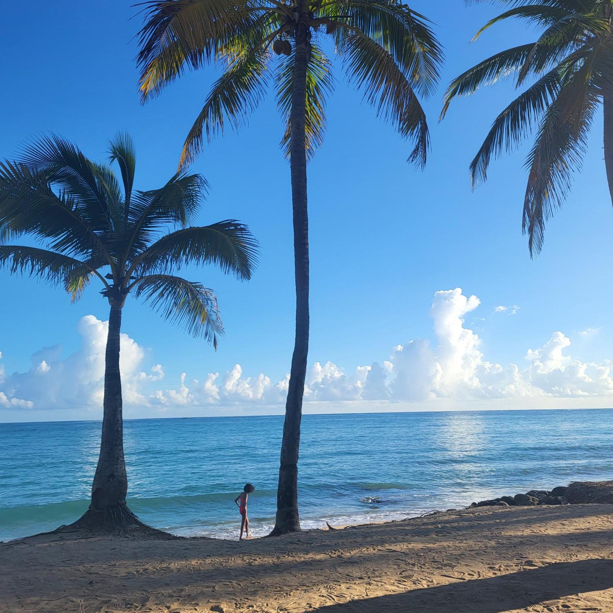 Cozybeach Large 1Bdrapt 50 Steps From Atlantic Ocean Private Street Between Ocean Park & Isla Verde 5 Mins From Airport San Juan Eksteriør bilde